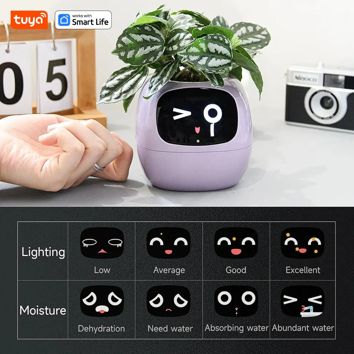 IVY Plant Cute Pet Robot – Interactive Smart Planter with Digital Face, AI-Powered Care, and Air Purification
