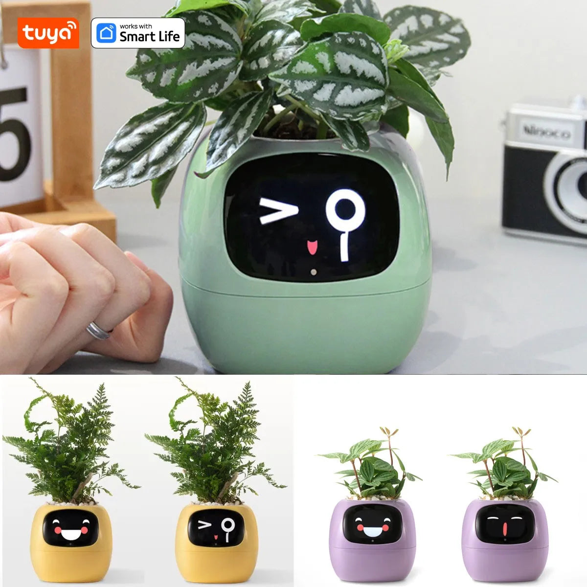 IVY Plant Cute Pet Robot – Interactive Smart Planter with Digital Face, AI-Powered Care, and Air Purification